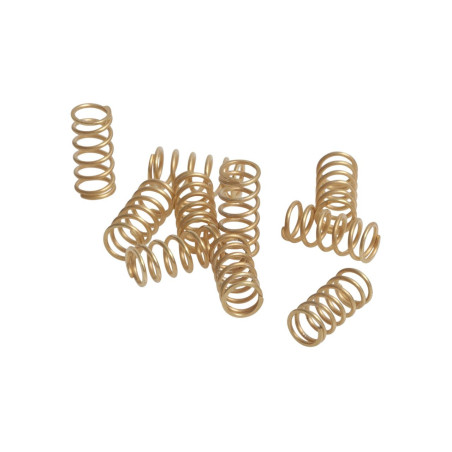 Allstar Foil Pressure Springs (10 PCS.)