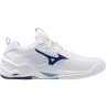 Mizuno Wealth Stealth Neo 2